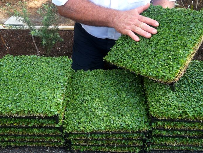 profitable-horticultural-business-proprietary-products-ip-0