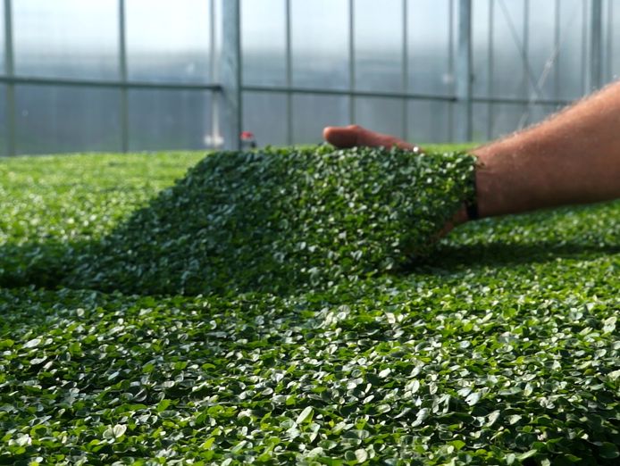 profitable-horticultural-business-proprietary-products-ip-2