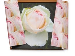 BLACK FRIDAY SALE PRICE! Premium Gifting eCommerce Brand