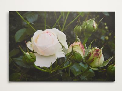 premium-gifting-ecommerce-brand-5