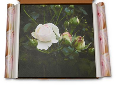 premium-gifting-ecommerce-brand-4