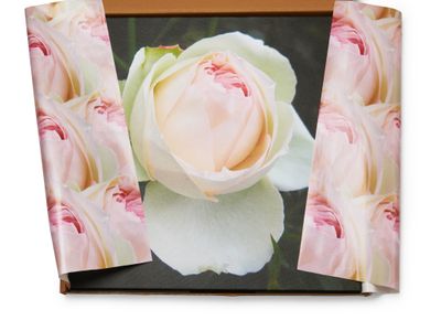 premium-gifting-ecommerce-brand-0
