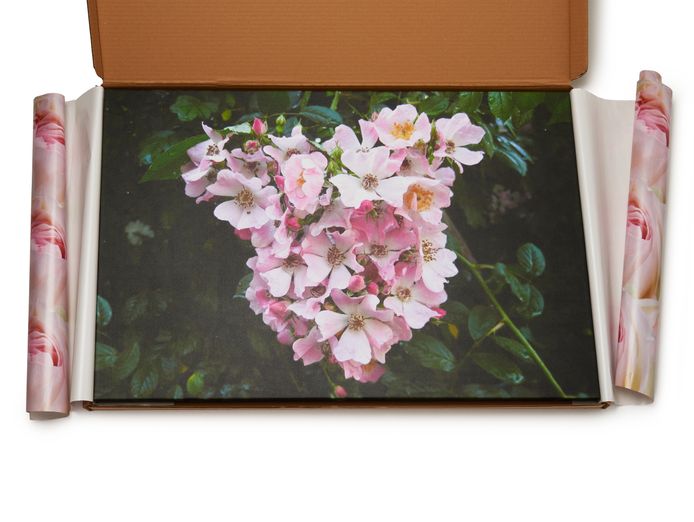 premium-gifting-ecommerce-brand-2