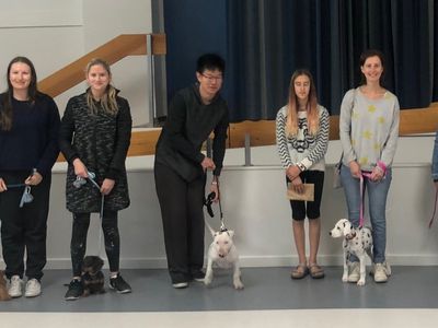 puppy-and-dog-training-1