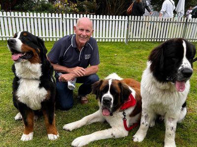 puppy-and-dog-training-2