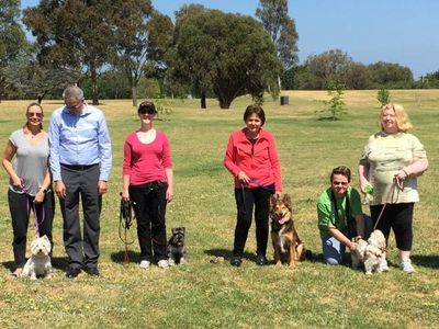 puppy-and-dog-training-3