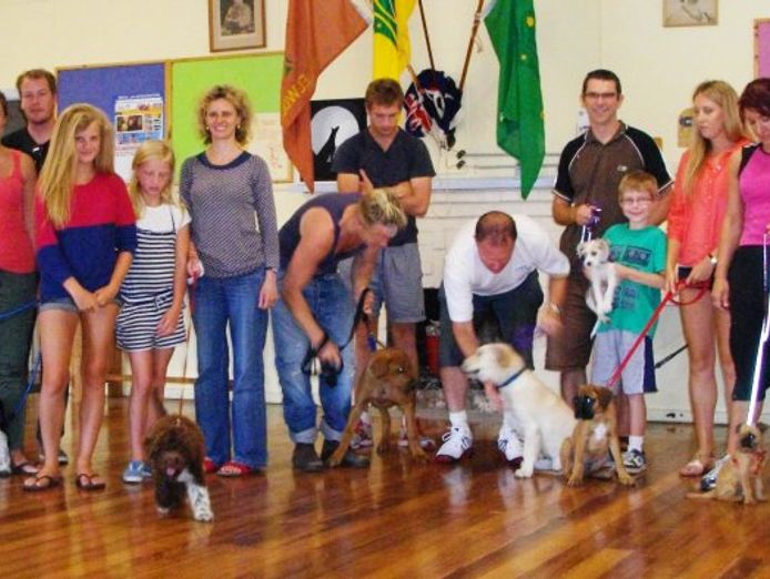 puppy-and-dog-training-4