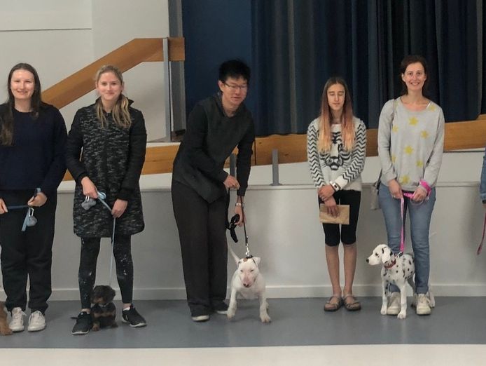 puppy-and-dog-training-1
