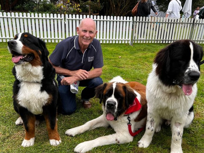 puppy-and-dog-training-2