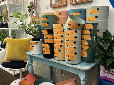 for-sale-indoor-plant-gift-shop-in-prime-bendigo-location-3