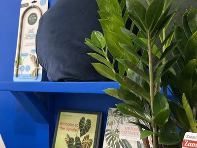 for-sale-indoor-plant-gift-shop-in-prime-bendigo-location-5