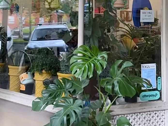 for-sale-indoor-plant-gift-shop-in-prime-bendigo-location-0