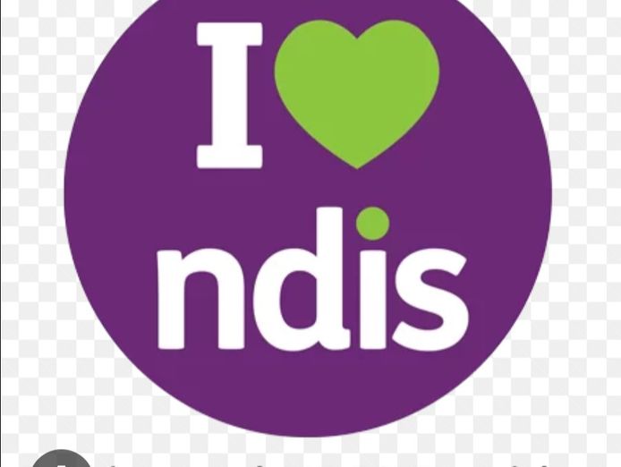ndis-business-for-sale-3