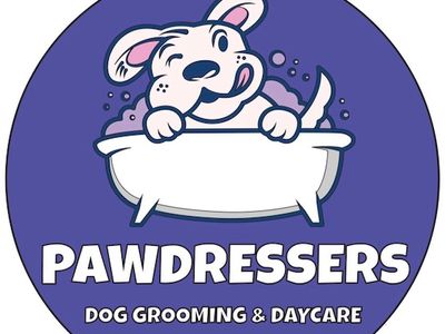 dog-grooming-0