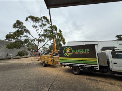 turnkey-tree-service-business-great-clients-solid-profits-large-growth-update-0