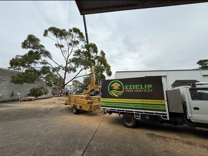 turnkey-tree-service-business-great-clients-solid-profits-large-growth-update-0