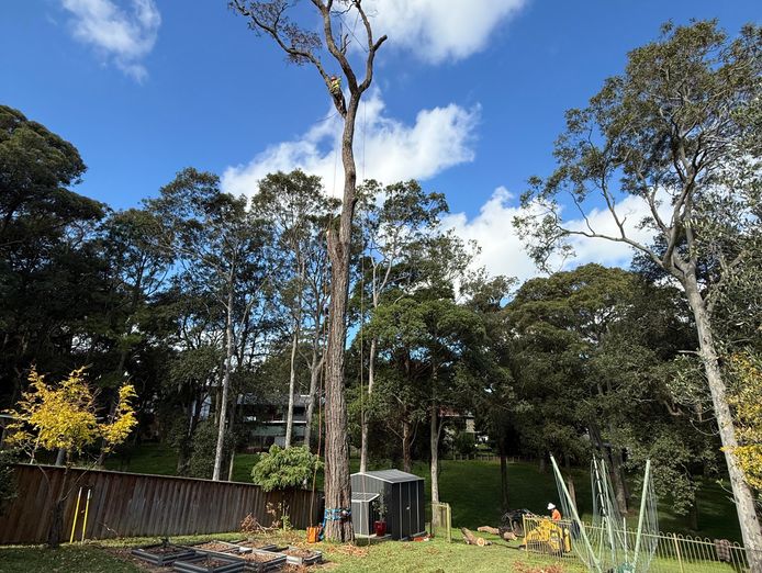 turnkey-tree-service-business-great-clients-solid-profits-large-growth-update-1
