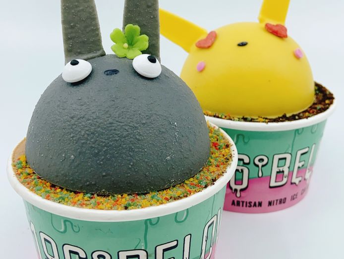 196below-nitrogen-ice-cream-brand-for-sale-5