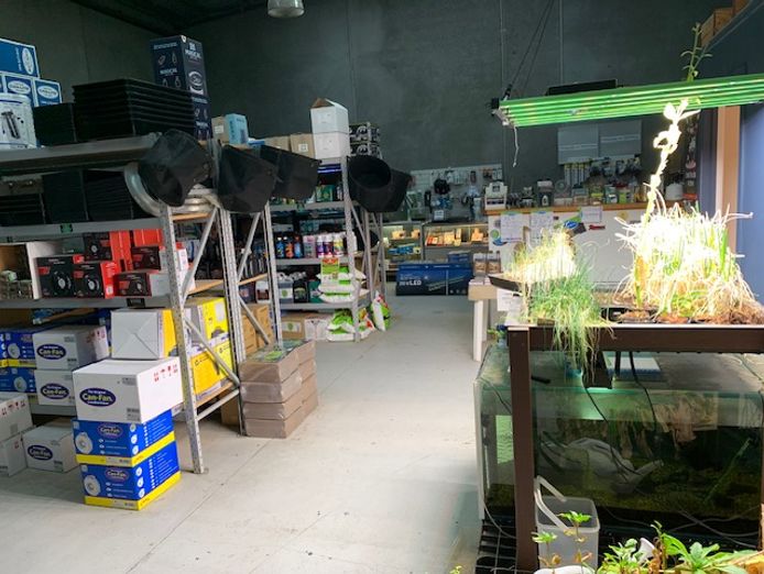 hydroponics-supplies-est12years-no-competitors-for-25km-indoor-gardening-2