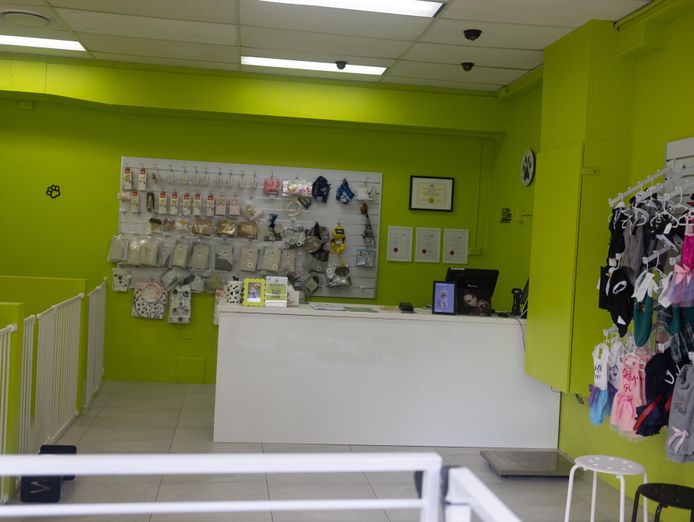 premium-pet-business-dog-grooming-photography-boutique-3