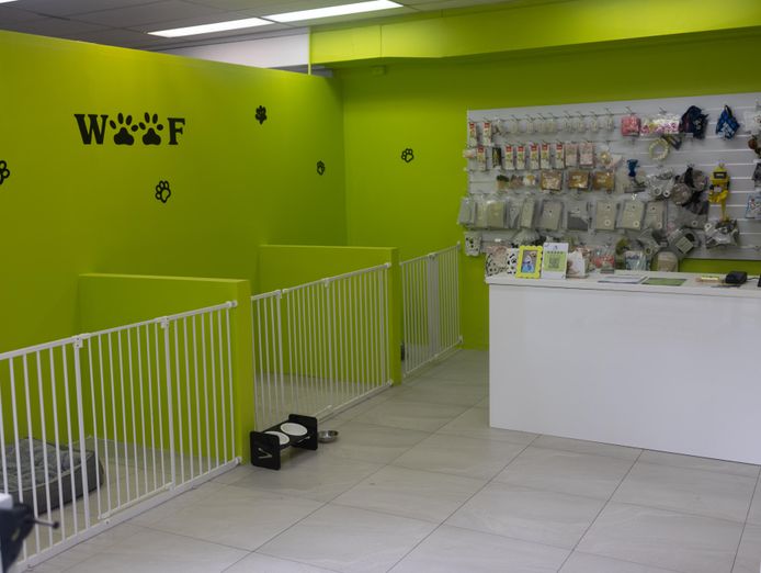 premium-pet-business-dog-grooming-photography-boutique-0