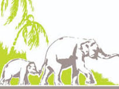 greeting-card-franchise-perfect-for-retail-sales-reps-with-client-base-0