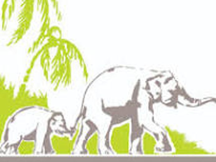 greeting-card-franchise-perfect-for-retail-sales-reps-with-client-base-0