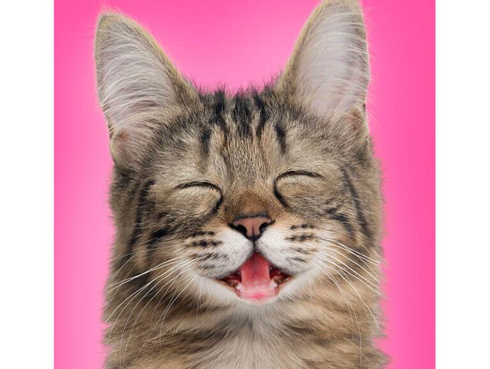 resale-greeting-card-franchise-25-current-shops-selling-under-stock-price-3
