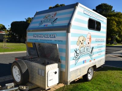 2022-xl-king-trailer-mobile-dog-grooming-business-1
