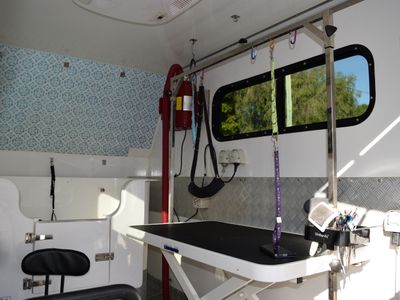 2022-xl-king-trailer-mobile-dog-grooming-business-7