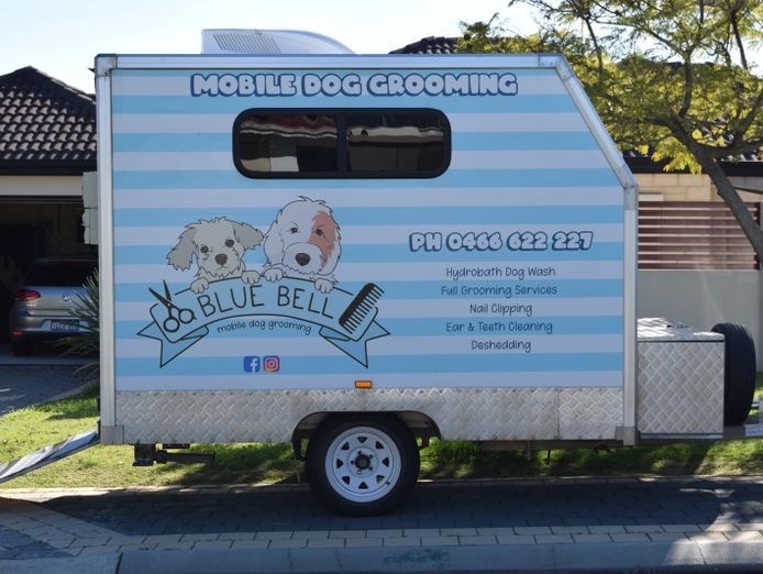 2022-xl-king-trailer-mobile-dog-grooming-business-2