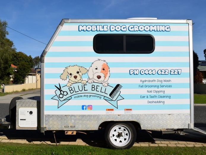2022-xl-king-trailer-mobile-dog-grooming-business-0