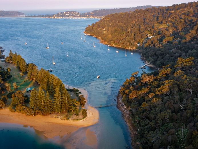 boat-charter-business-for-sale-in-sydneys-north-3