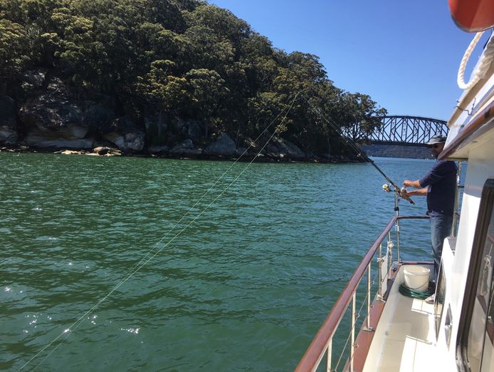 boat-charter-business-for-sale-in-sydneys-north-0