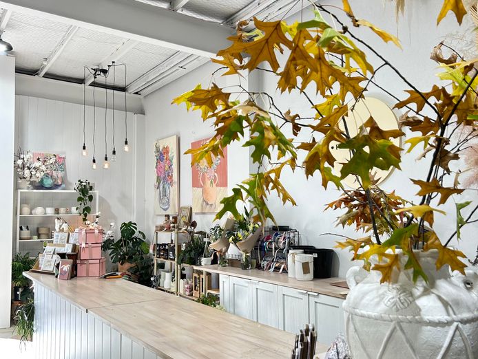 florist-for-sale-bathurst-a-blooming-opportunity-in-the-heart-of-bathurst-1