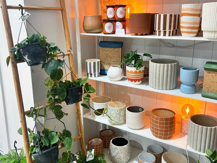 florist-for-sale-bathurst-a-blooming-opportunity-in-the-heart-of-bathurst-4
