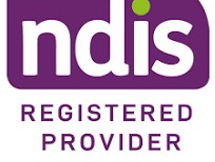 brand-new-ndis-company-with-sil-nursing-and-live-website-0
