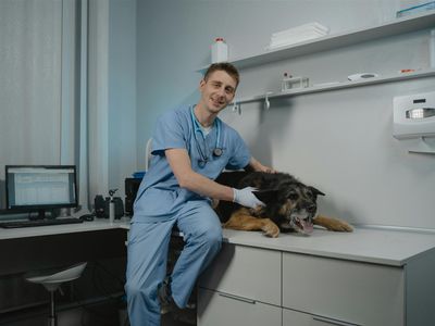 agnes-coast-vet-clinic-coastal-lifestyle-profit-4