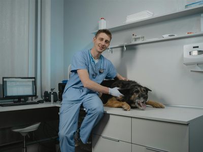 agnes-coast-vet-clinic-coastal-lifestyle-profit-4