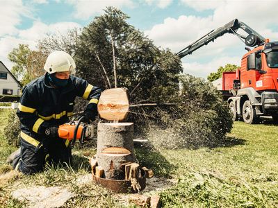 profitable-arboriculture-business-qld-4