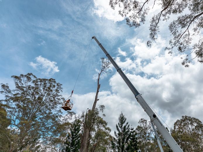 profitable-arboriculture-amp-land-clearing-business-qld-2