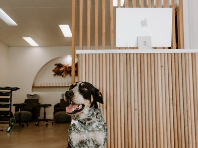 thriving-hair-salon-with-loyal-client-base-prime-location-of-burnett-heads-1