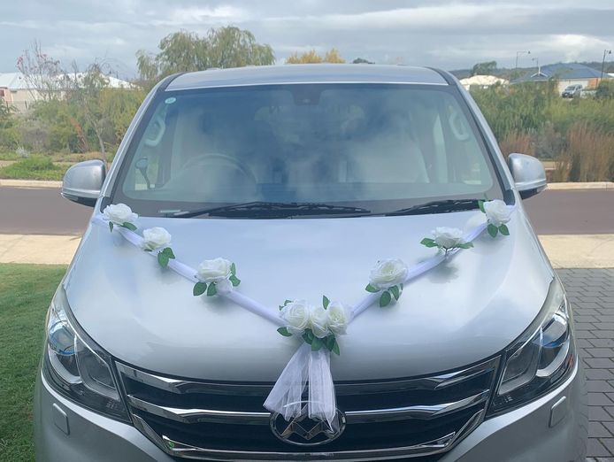chauffeur-business-for-sale-private-driver-wine-tours-transfers-weddings-3