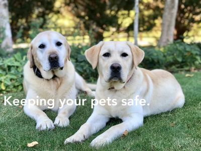 pet-containment-installation-business-for-sale-south-of-sydney-0