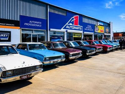 auto-parts-professionals-built-for-car-lovers-1