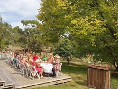 mobile-bar-and-beverage-catering-business-liquor-licence-included-4