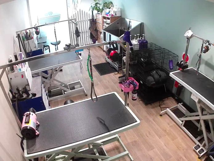 st-leonards-boutique-dog-grooming-salon-established-equipped-1