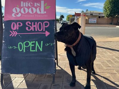 op-shop-business-full-stock-instant-income-opportunity-5