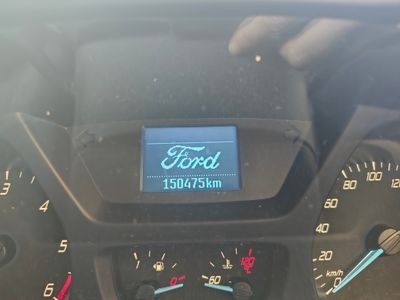 mobile-dog-grooming-business-2