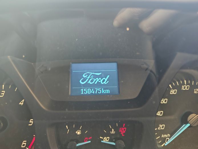 mobile-dog-grooming-business-2